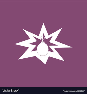 Icon bomb explosion vector image
