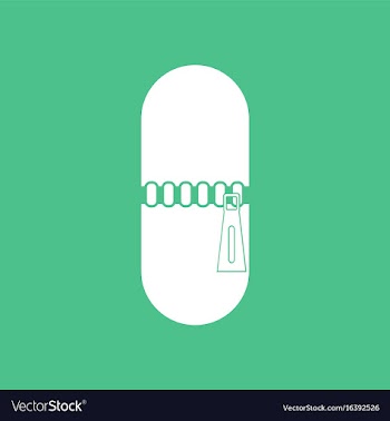 Icon capsule with zip vector image