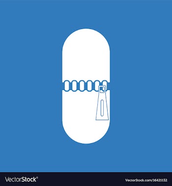 Icon capsule with zip vector image