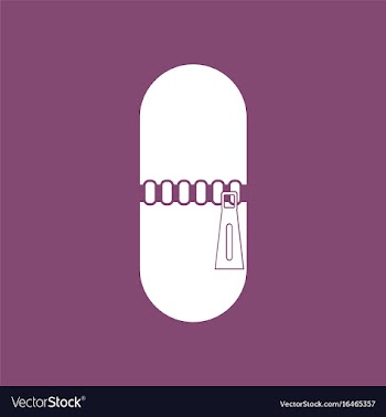 Icon capsule with zip vector image