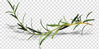 Icon, Ching Ming Ai grass leaves transparent background PNG clipart