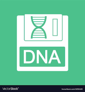 Icon dna disk vector image