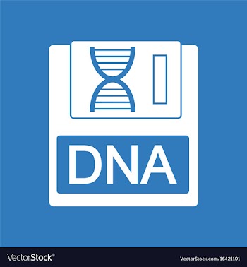 Icon dna disk vector image