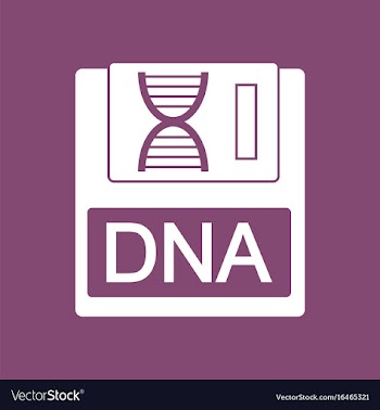 Icon dna disk vector image