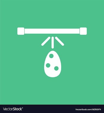 Icon effect on egg vector image