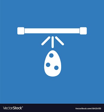 Icon effect on egg vector image