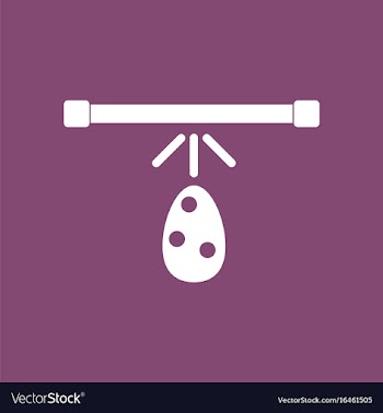 Icon effect on egg vector image