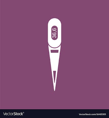 Icon electronic thermometer vector image