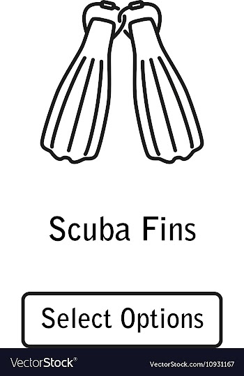 Icon fins scuba diving equipment vector image