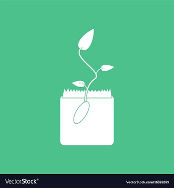 Icon flower buds vector image
