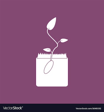 Icon flower buds vector image
