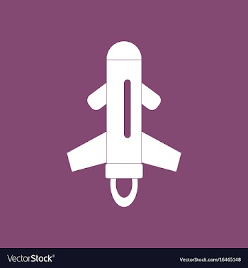Icon flying rocket vector image