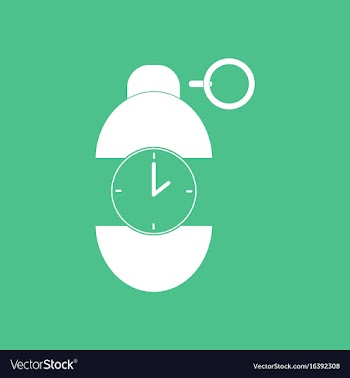 Icon grenade time to explode vector image