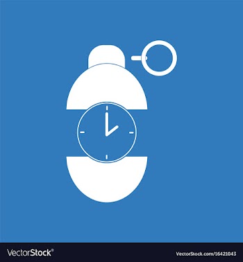 Icon grenade time to explode vector image
