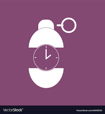 Icon grenade time to explode vector image