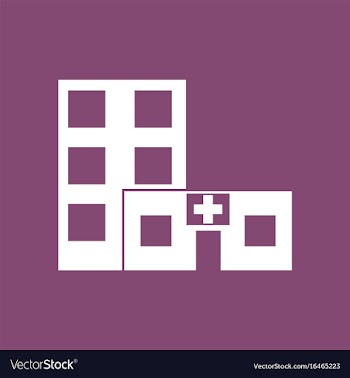 Icon hospital building vector image
