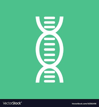 Icon human dna vector image