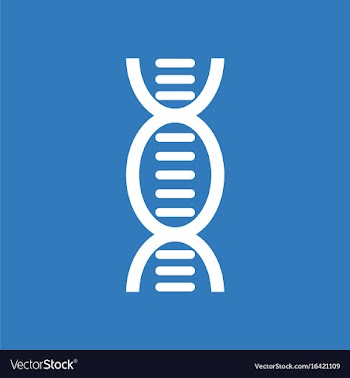 Icon human dna vector image