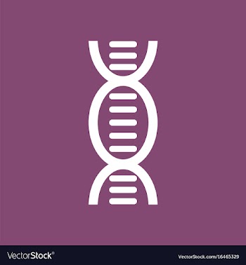 Icon human dna vector image