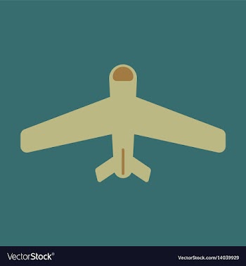 Icon in flat design aircraft vector image