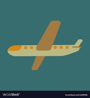 Icon in flat design aircraft vector image