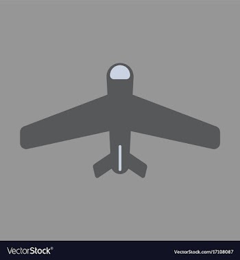 Icon in flat design aircraft vector image