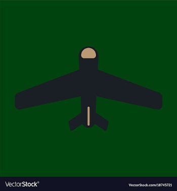 Icon in flat design aircraft vector image