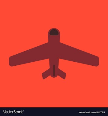 Icon in flat design aircraft vector image