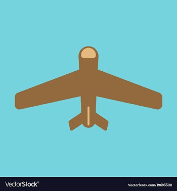 Icon in flat design aircraft vector image