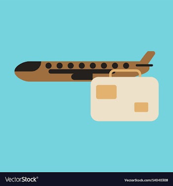 Icon in flat design airplane suitcase vector image
