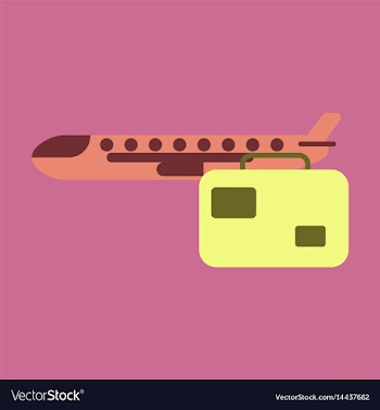 Icon in flat design airplane suitcase vector image