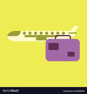 Icon in flat design airplane suitcase vector image