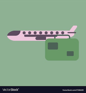 Icon in flat design airplane suitcase vector image