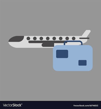 Icon in flat design airplane suitcase vector image