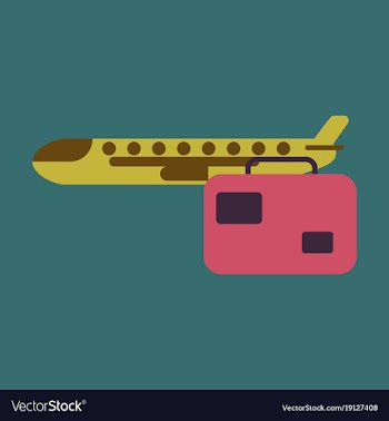 Icon in flat design airplane suitcase vector image
