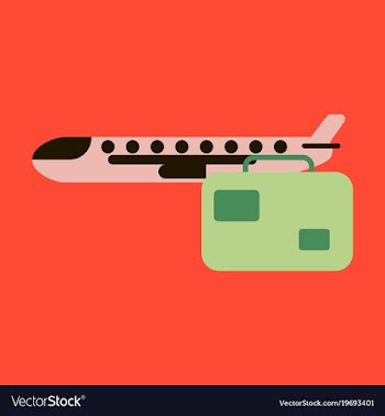 Icon in flat design airplane suitcase vector image