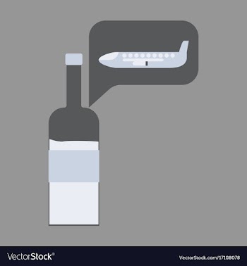 Icon in flat design alcohol duty free vector image