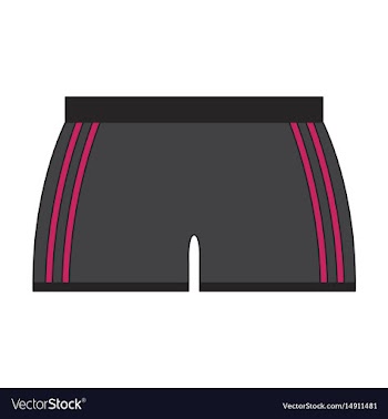Icon in flat design athletic shorts vector image