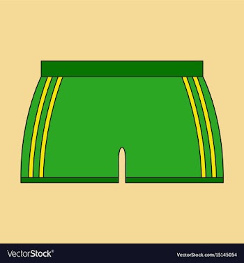 Icon in flat design athletic shorts vector image