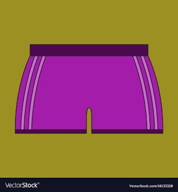 Icon in flat design athletic shorts vector image
