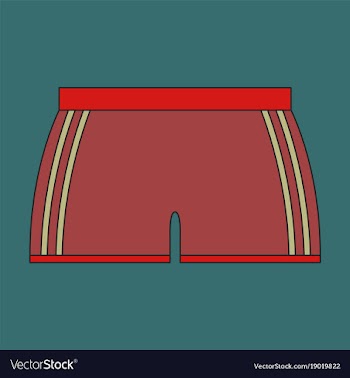 Icon in flat design athletic shorts vector image
