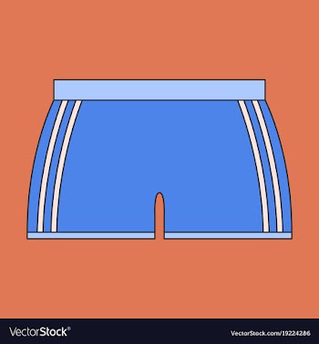 Icon in flat design athletic shorts vector image