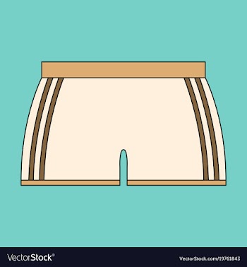 Icon in flat design athletic shorts vector image