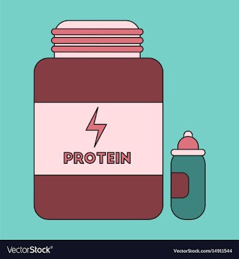 Icon in flat design bank of protein vector image