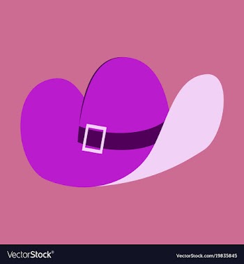 Icon in flat design fashion clothes cowboy hat vector image