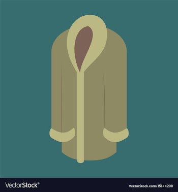 Icon in flat design fashion clothes fur coat vector image
