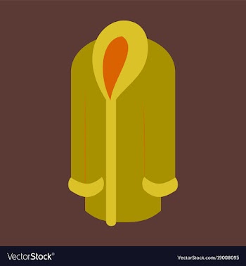 Icon in flat design fashion clothes fur coat vector image