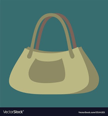 Icon in flat design fashion clothes ladies handbag vector image