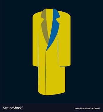 Icon in flat design fashion clothes long coat vector image