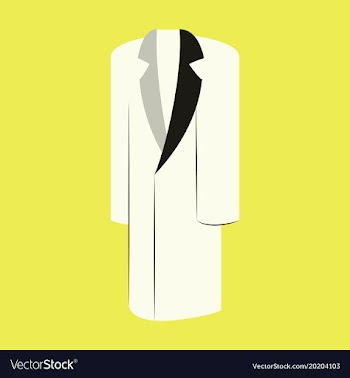 Icon in flat design fashion clothes long coat vector image